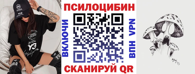 Псилоцибиновые грибы MAGIC MUSHROOMS  блэк спрут ссылка  Рудня  где можно купить наркотик 